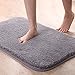 Super Soft Bath Rugs Floor Mat, Astory Water Absorbent Anti-Skid Bedroom Area Rugs Fluffy Shaggy Area Carpet Nursery Rugs Kids Mat Suitable for Bathroom/Bedroom/Kitchen (Gray, 31.5x19.7in)
