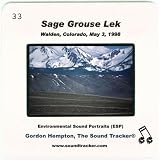 Sage Grouse Lek