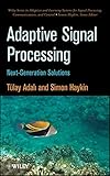 Adaptive signal processing : next generation solutions