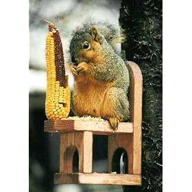 Looker Squirrel Chair Squirrel Feeder by Looker Inc