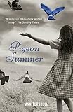 Pigeon summer