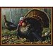 Milliken Hautman Collection 3 x 4 Woodland Turkey Area Rug