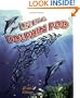 Life in a Dolphin Pod (Dolphin Worlds)