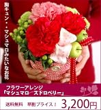 �y��̓��z  ���ԃA�����W�u�}�V���}���v��  �X�g���x���[ �y���̉��i�ł��肦�Ȃ��{�����[���I�z �y�J�[�l�[�V�������������z