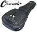 [Free Shipping] Clearwater TPG2D Dreadnought / Jumbo Acoustic Guitar Gig Bag