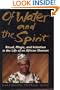 Of Water And Spirit, Ritual, Magic and initiation in the life of an African Shaman