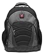 SYNERGY from SwissGear by Wenger Computer Backpack