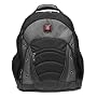 SYNERGY from SwissGear by Wenger Computer Backpack