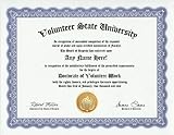 Volunteer Work Volunteering Degree: Custom Gag Diploma Doctorate Certificate (Funny Customized Joke Gift - Novelty Item)