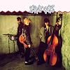Stray Cats