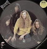 Symphony Of Destruction (Clear Vinyl Poster Edition)