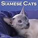 2009 Cats - Siamese Wall Calendar