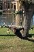 TRX Suspension Training Pro Pack