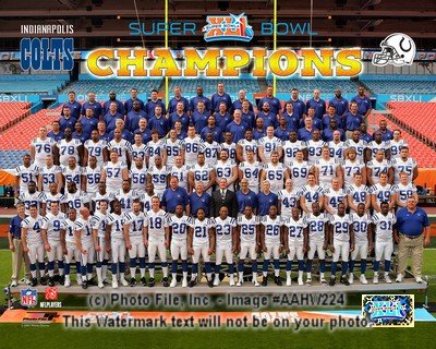 2006 Indianapolis Colts Super Bowl XLI Champions Team 8x10 Photo