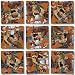B Dazzle Primates Scramble Squares 9 Piece Puzzle