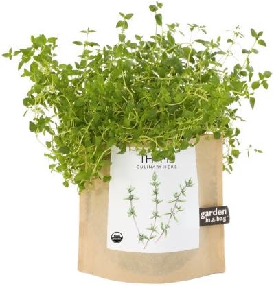 Potting Shed Creations Garden in a Bag, Thyme