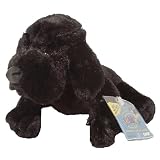 Webkinz Black Lab with Bracelet and Charm