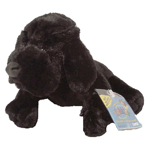 Webkinz Black Lab with Bracelet and Charm