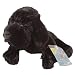 Webkinz Black Lab with Bracelet and Charm