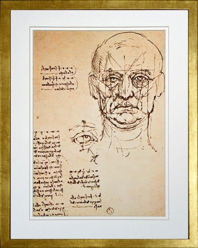 Study of Face and Eye by Leonardo da Vinci. Framed Art Print Poster. Custom Made Real Wood Modern Scratched Gold Frame (17 1/8 x 21 1/8)