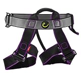 Edelrid Joker Jr. Climbing Harness - Night/Violet One Size Fits All Kids