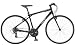 09 Transeo 5.0 Bike