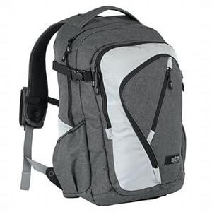 STM Bags Large Rogue Backpack For Laptops (Grey/Silver)