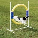PetSafe Agility Ring Jump
