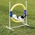 PetSafe Agility Ring Jump