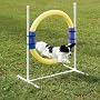PetSafe Agility Ring Jump