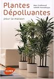 Plantes depolluantes pour la maison