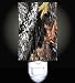 Mossy Oak Break Up Pattern Decorative Night Light