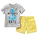 Baby Boys 2-Piece Outfit Set Tee and Shorts, Grey, (4T),110