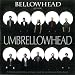Bellowhead Presents