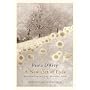 A New Set of Eyes: Encountering the Hidden God
