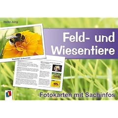 Feld- und Wiesentiere - Fotokarten mit Sachinfos