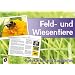 Feld- und Wiesentiere - Fotokarten mit Sachinfos