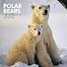 Polar Bears 2012 Calendar