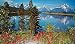 Abi (Jackson Lake) Art Poster Print - 12