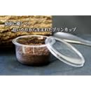 プロブリーダー仕様プリンカップ/１０個