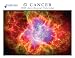 Cancer Starlines Astrological 2009 Calendar