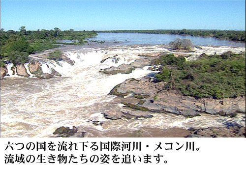 世界の大河 World River Cruising~河から見る世界遺産、秘境、壮大な大自然の数々~ [DVD]