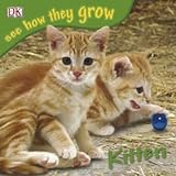 Kitten