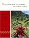 Book Civilizacion y cultura: Intermediate Spanish Series (Copeland)