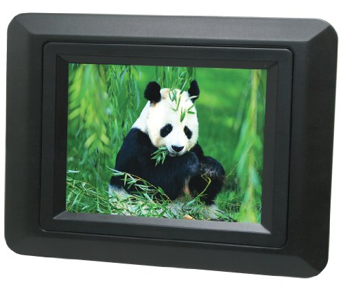 Curtis DPF350L-BLACK 3.5-Inch Digital Picture Frame (Black)