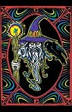WIZARD CROW MAGIC FANTASY BLACKLIGHT POSTER #8968
