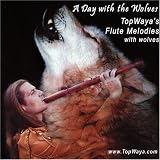 Day With the Wolves