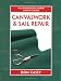 Canvaswork and Sail Repair