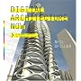 Digital Architecture Now: A Global Survey of Emerging Talent