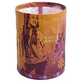 from Hannah Montana Hannah Montana Concertina Bin